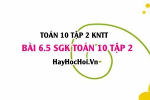 Bài 6.5 SGK Toán 10 tập 2 Kết nối tri thức